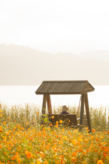 korea, 여행, 가을, 꽃, 가을정취, 남한강