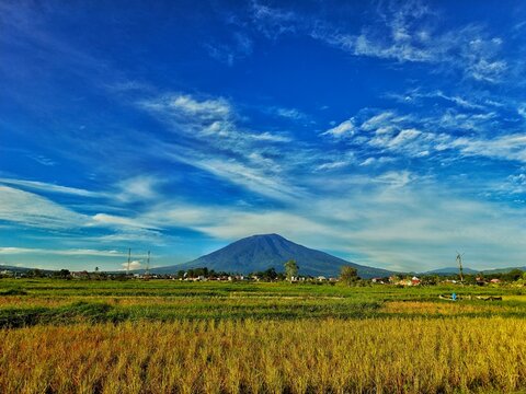 Rice Fields in Ampek Angkek, Agam with Mount Singgalang in Background &ndash; Blue Sky and Rural Village Landscape, West Sumatra, Indonesia