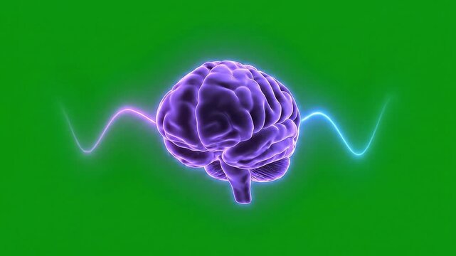 Animated 3D Human Brain Icon with Glowing Neural Activity Waves on Green Screen Background. Concept of AI
