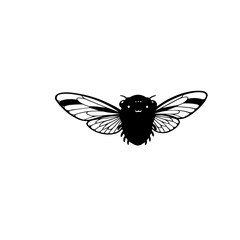 Cicada Icon