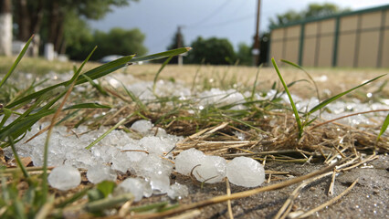 Close-up of icy hailstones scattered on green grass and dry leaves, glistening on the ground after a sudden summer storm
