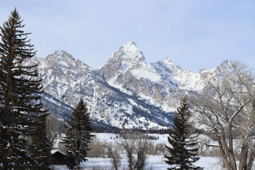 Travels from Taiwan, Turkey, North Macedonia, Wyoming, New York City, Japan, Arizona, Thailand, 