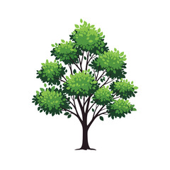 Fototapeta premium Illustration of a tree with green leaves on a white background.