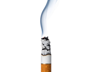 cigarette butt on white
