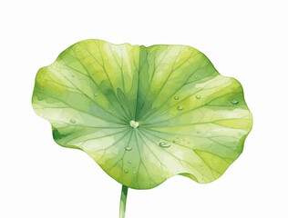 Floating Circles lotus leaves isolated watercolor vector illustration svg
