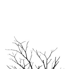Tree silhouette isolated on white