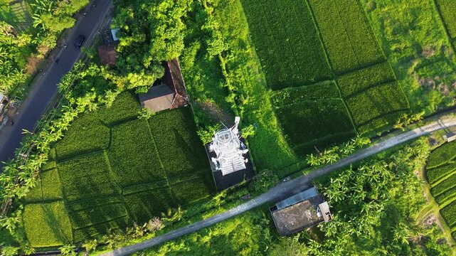Rare Stunning Drone Aerial Over Telecommunication Tower Wireless Internet WiFi 5G Above Countryside Landscape in Green Rice Fields during day in 4K