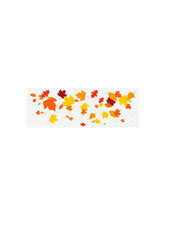 Autumn falling leaves isolated Vector.ai