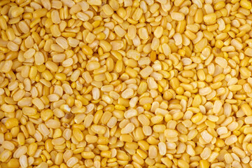 Close-up of raw yellow split Moong Dal (Mug Dal) texture background. Uncooked organic Mung Bean lentil, a healthy vegan protein source for Indian cooking and traditional cuisine.