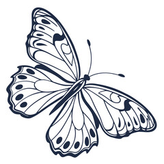 Elegant outline illustration of a dark blue butterfly with detailed wings and antennae on a white background