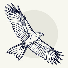 Majestic eagle in flight with outstretched wings against a soft circular background in a stylized line art illustration