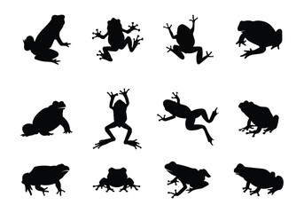 frog sitting jumping set collection pack bundle black shape icon silhouette vector flat illustration design on white background