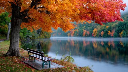Vibrant autumn scenery by a peaceful lake with a red maple tree and a bench