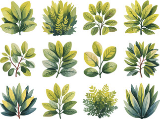 Twelve green shrubs illustration, tropical foliage collection, botanical leaves, garden plants, natural greenery, eco nature design
