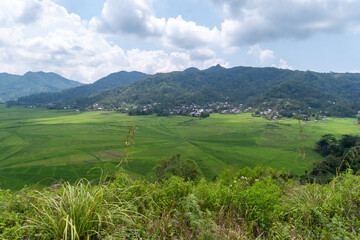 Obraz premium Aerial view of unique spider web rice fields with vivid green paddies surrounded by rural houses and lush hills. Traditional farmland landscape from Southeast Asia captured in vibrant daylight. 