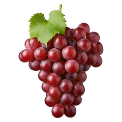 Fototapeta premium A close-up of a bunch of ripe red grapes with a green leaf against a black background