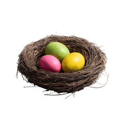 Colorful easter eggs nest isolated transparent background decorative spring season