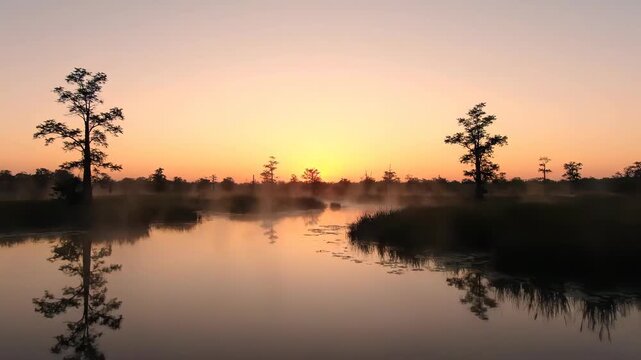 Ethereal sunrise over a misty cypress swamp with silhouettes of trees reflected in calm waters, creating a serene landscape.