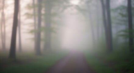 Blurred ethereal natural landscape of a misty forest path at dawn with soft light