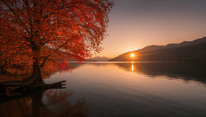 Fiery Autumn Tree Lake Sunset red leaves water