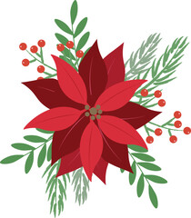 Poinsettia Flowers and Christmas Floral Elements, Vector illustration of red Christmas flower with berries and green leaves, elegant design idea for Christmas decoration, invitation, new year