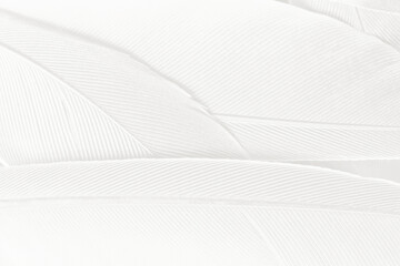 Gray white feather wooly pattern texture background