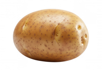 Earthy tuber with brown speckles isolated on a transparent background