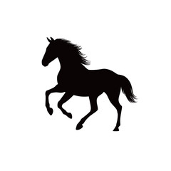 Obraz premium A black silhouette of a horse in full stride, showcasing its strength and grace. The animal is captured mid-run, emphasizing its lively movement and energy.