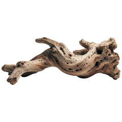 Weathered, intricate driftwood piece isolated on black background, displaying natural textures
