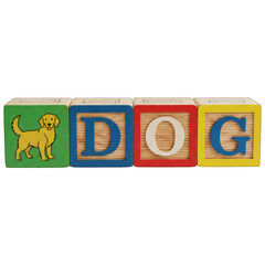 Wooden alphabet blocks spell "DOG," with a dog illustration on the first block