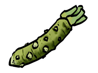 本わさびのイラスト （筆タッチ・薬味） シンプル /  Japanese Wasabi Root – Hand-Drawn Brush Style
