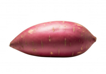 Purple skinned root vegetable isolated on a transparent background