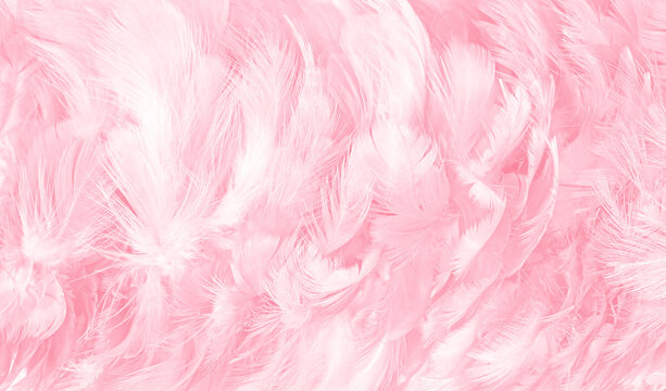 Beautiful abstract soft pink feather pattern texture background 