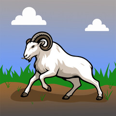 Fighting sheep vector.eps