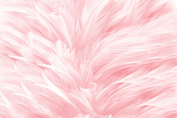 Beautiful abstract soft pink feather pattern texture background 