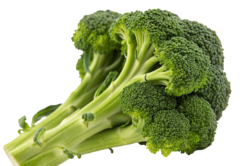 Fresh broccoli florets ready for healthy cooking delicious green vegetable closeup