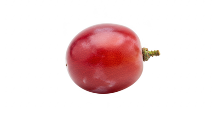 Close-up of a single ripe red grape with stem detail isolated