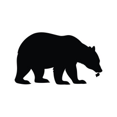 A strong and solitary bear in a graphic black silhouette illustration, bear sniffing ground silhouette vector illustration