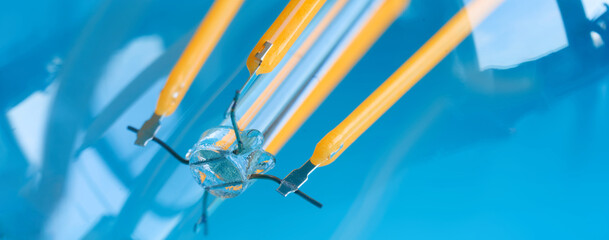Close-up macro of yellow LED filaments inside a transparent light bulb on a blue background, symbolizing energy saving and modern lighting. Photo
