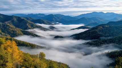 Fototapeta premium Foggy morning landscape with valleys and ridges, showcasing serene beauty and tranquility