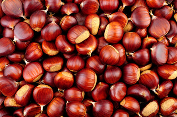 European sweet chestnut texture detail background also known as Spanish chestnuts and gathered in Autumn