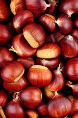 Fototapeta premium European sweet chestnut texture detail background also known as Spanish chestnuts and gathered in Autumn
