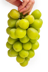 シャインマスカット　ぶどう　Shine Muscat and seasonal grapes 