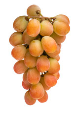 シャインマスカット　ぶどう　Shine Muscat and seasonal grapes 