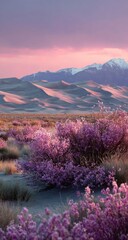 Desert landscape at dawn.  Pink flowers and dunes. Mountains in the background