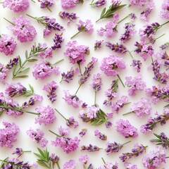 Beautiful Lavender and Purple Floral Arrangement on Soft White Background for Nature and Floral Design Projects