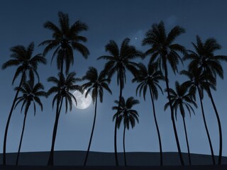 palm trees at sunset