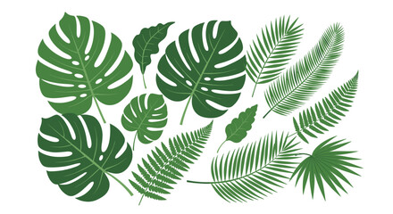 Collection of tropical monstera and fern leaves in various sizes and shapes.