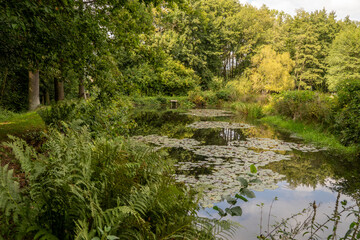 Kleiner idyllischer Teich in der Oberlausitz