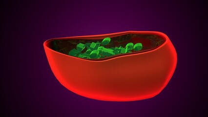Plant chloroplast anatomy. 3d illustrations